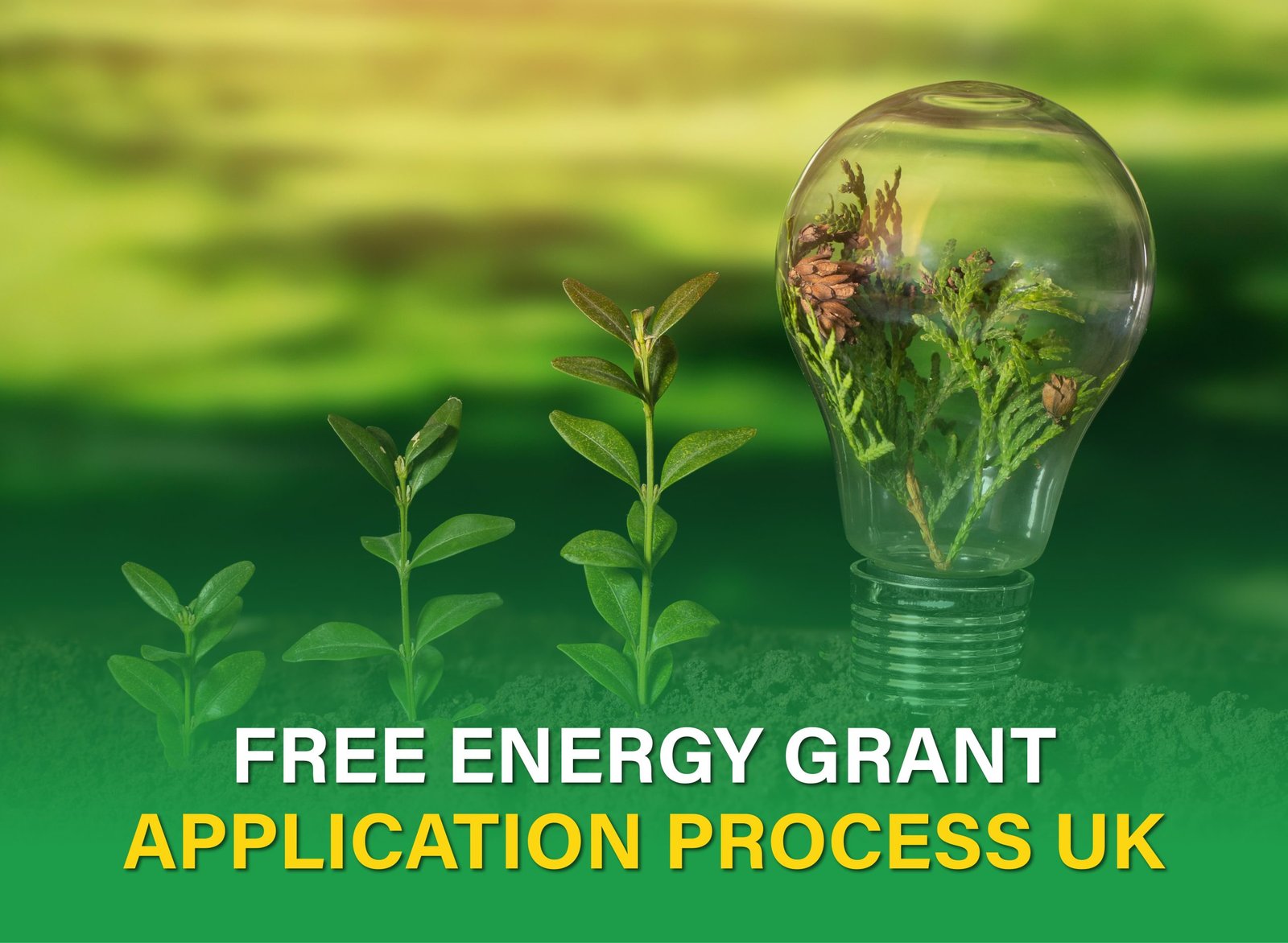 Discover the complete step-by-step process to apply for UK free energy grants and improve your home’s energy efficiency easily.