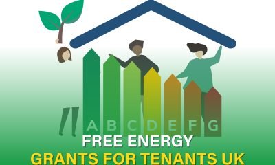 Discover how tenants in the UK can apply for free energy grants in 2025 to improve home efficiency and reduce bills.